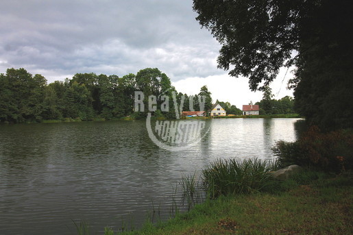 Exkluzivní prodej rybníku o rozloze 37 496 m2 s rodinným domem  - Fotka 2