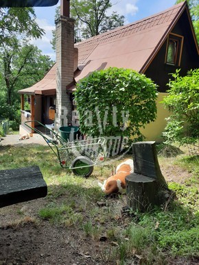 Exkluzivní prodej velice pěkné chaty s navazujícím vlastním pozemkem v těsné blízkosti Prahy - Fotka 4