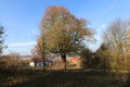Fotka 1