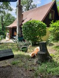 Fotka 4
