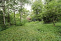 Fotka 20