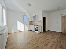 Pronájem novostavby zděného bytu 1+kk, Letní …